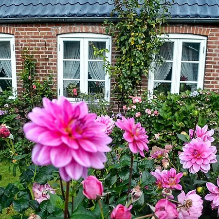 Hof Diederichs Apartament *