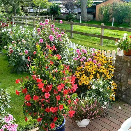 Hof Diederichs Bohmstedt