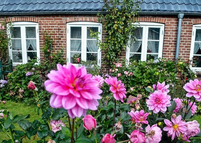 Hof Diederichs Apartman *